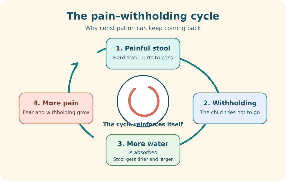 Resistant constipation in children cycle showing painful stool, withholding, water absorption and increasingly hard stool.